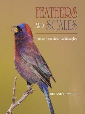 cover image of Feathers and Scales